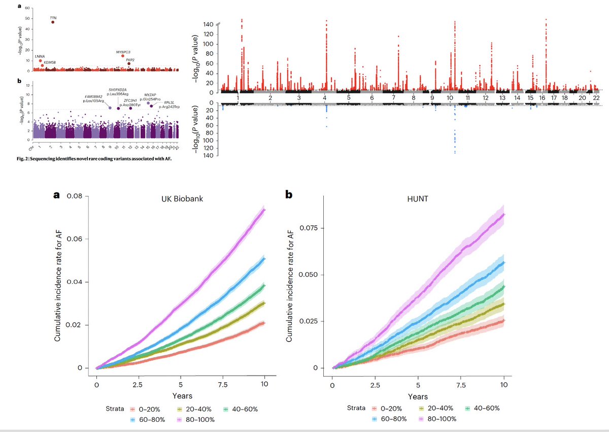 Eric Topol (@erictopol) on Twitter photo Atrial fibrillation is far more heritable than generally perceived. Two new reports <a href="/NatureGenet/">Nature Genetics</a> identify many more linked genomic variants and a refined polygenic risk score <a href="/patrick_ellinor/">Patrick Ellinor</a>
nature.com/articles/s4158…
nature.com/articles/s4158… Atrial fibrillation is far more heritable than generally perceived. Two new reports <a href="/NatureGenet/">Nature Genetics</a> identify many more linked genomic variants and a refined polygenic risk score <a href="/patrick_ellinor/">Patrick Ellinor</a>
nature.com/articles/s4158…
nature.com/articles/s4158…