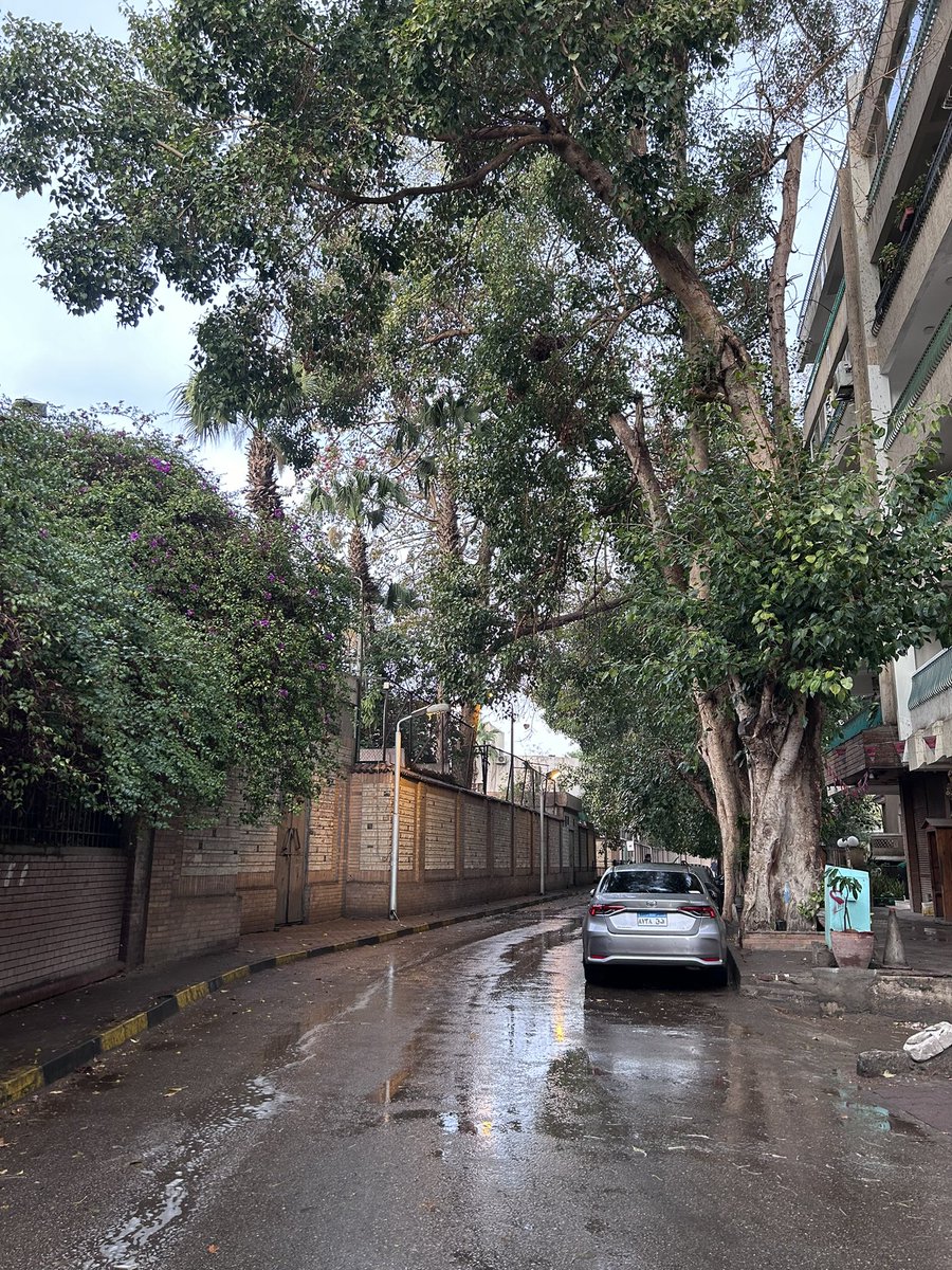 الشوارع بعد المطر حوار 😭