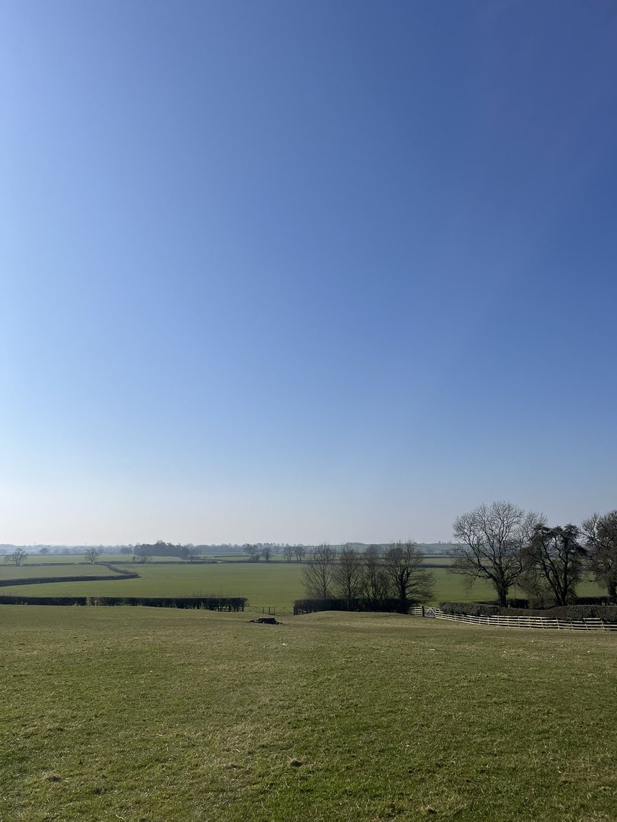 AHS Geography tweet media