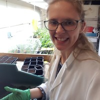 FixOurFood (@fixourfoodteam) on Twitter photo We are delighted that Dr Kellie Smith has joined our #RegenAg team <a href="/UniversityLeeds/">University of Leeds</a>. Kellie will measure impact on soil, plant health, physiology and associated microbial and insect biodiversity through our plot trials. fixourfood.org/what-we-do/ourā¦
#Soil #Biodiversity #FixOurFood We are delighted that Dr Kellie Smith has joined our #RegenAg team <a href="/UniversityLeeds/">University of Leeds</a>. Kellie will measure impact on soil, plant health, physiology and associated microbial and insect biodiversity through our plot trials. fixourfood.org/what-we-do/ourā¦
#Soil #Biodiversity #FixOurFood