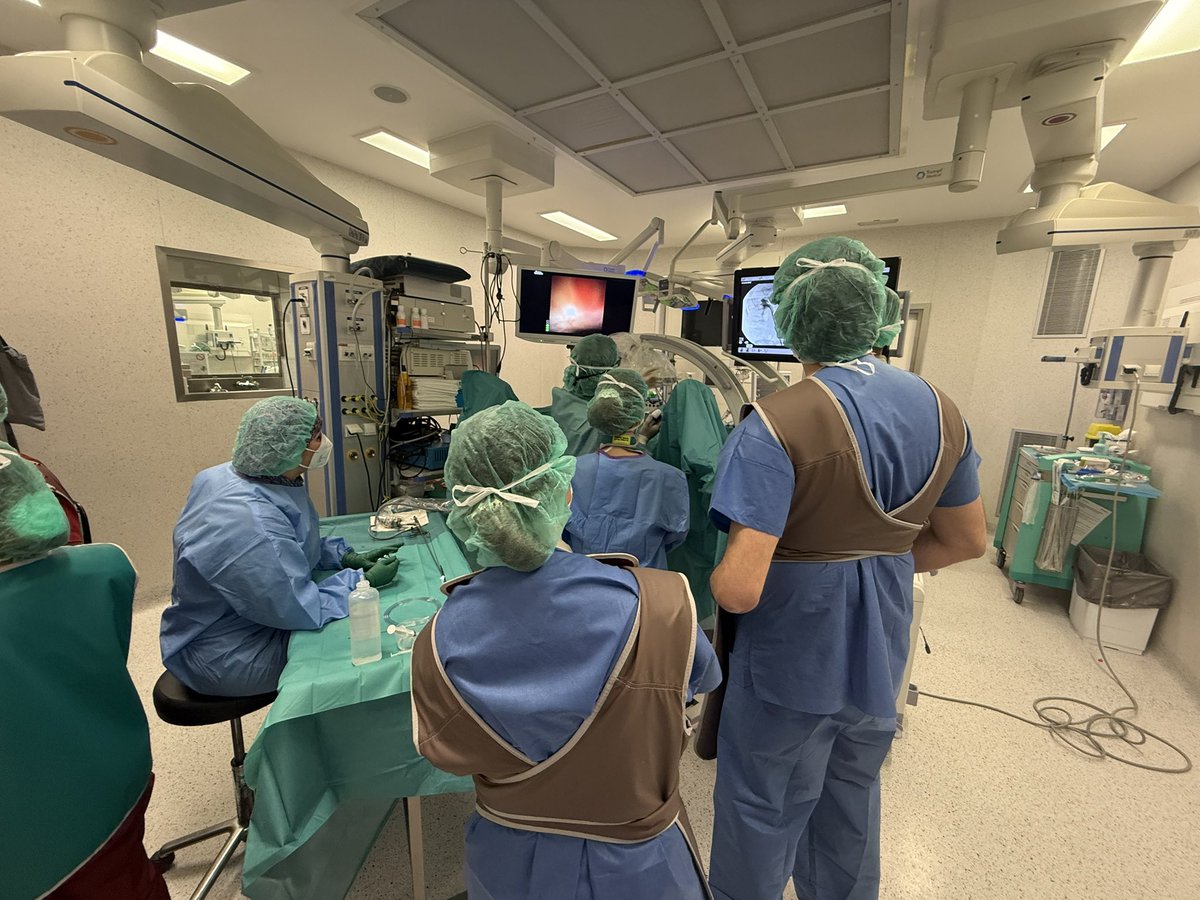 53rd Advanced Endourology Course at Bellvitge University Hospital

•2 Mini-PCNL
•4 Retrograde Intrarenal Surgery (RIRS)