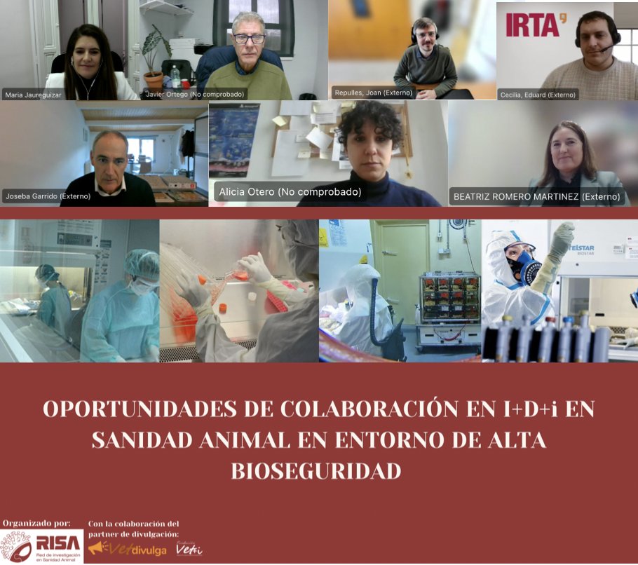 Un éxito la jornada sobre Oportunidades de colaboración en I+D+i en sanidad animal en entorno de alta bioseguridad! 🔬 Hemos podido conocer el trabajo que se realiza en los BSL3 y BSL4, fundamentales para avanzar en la investigación y en la #SanidadAnimal redrisa.es