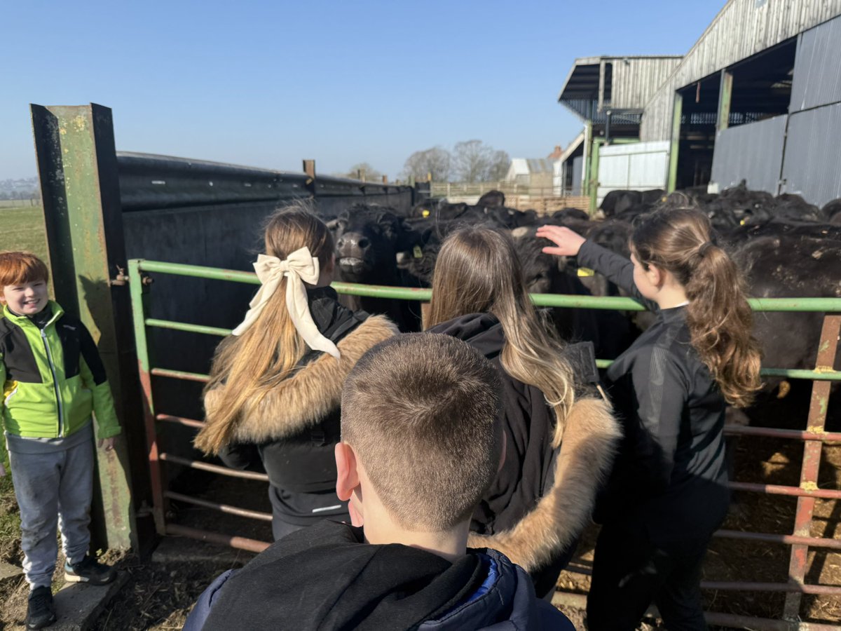 AHS Geography tweet media