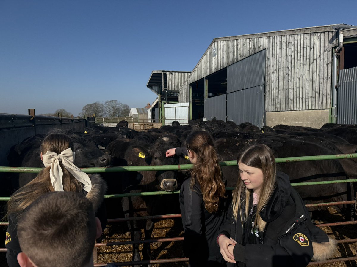 AHS Geography tweet media