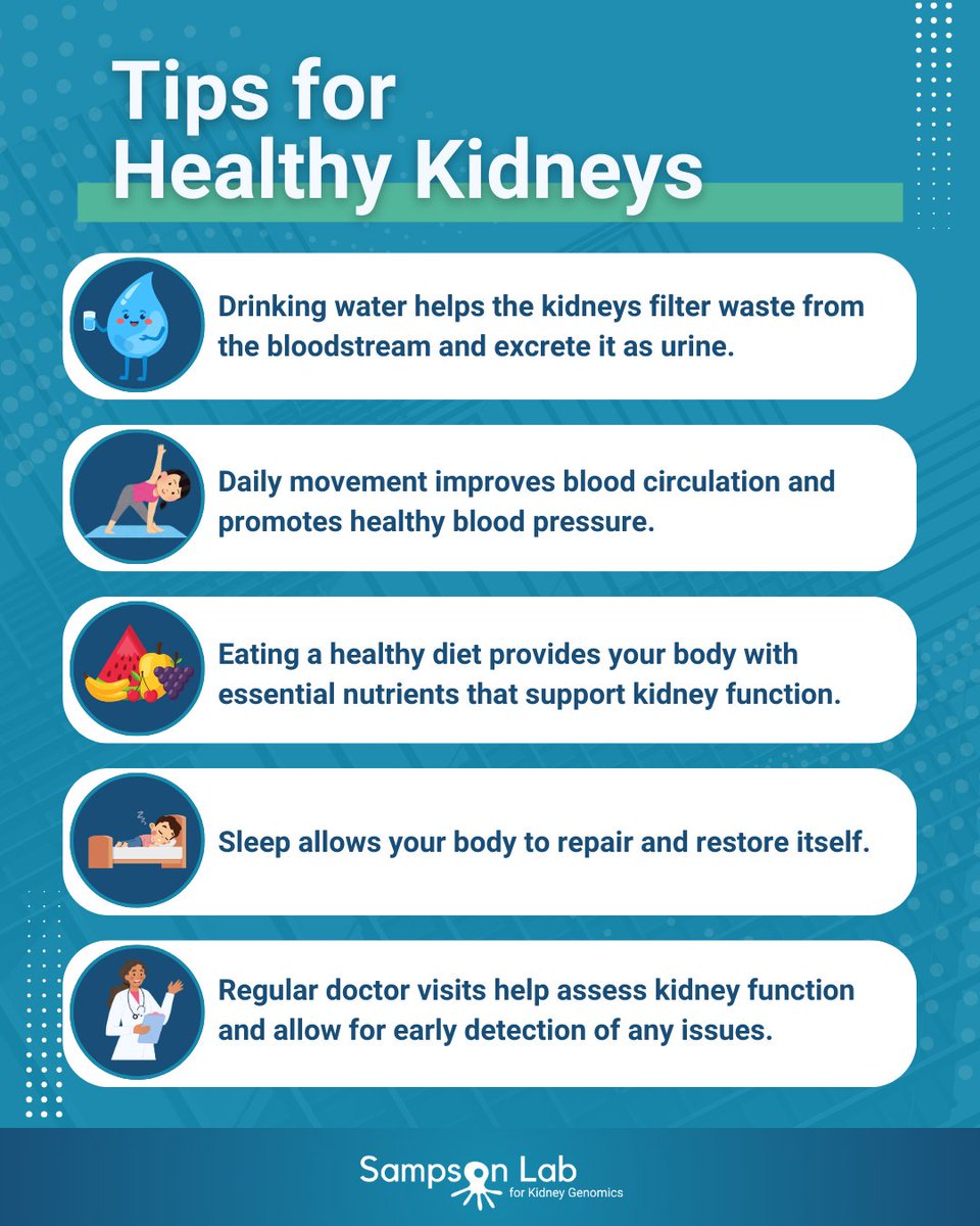 Healthy kidneys are vital to our well-being. Here are some ways you can help take care of them. 💧🏃‍♀️‍🥦😴🩺

#KidneyMonth