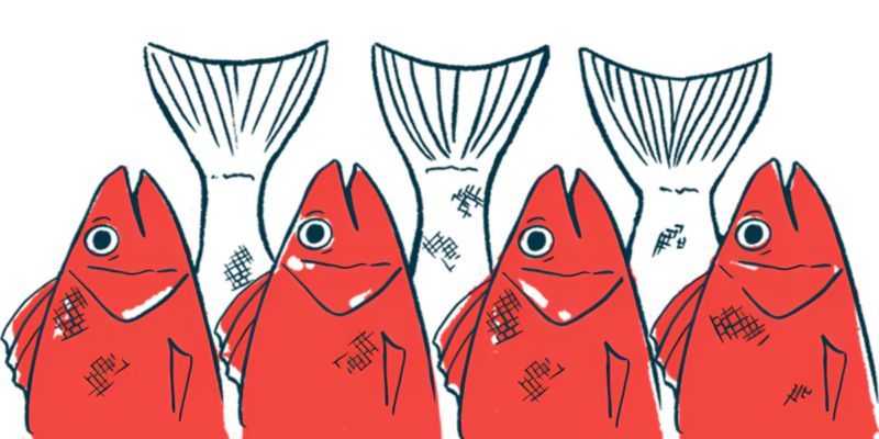 People with MS who eat more fish are significantly less likely to experience confirmed disability progression, a new study in Sweden finds. bit.ly/43w6rCa #news