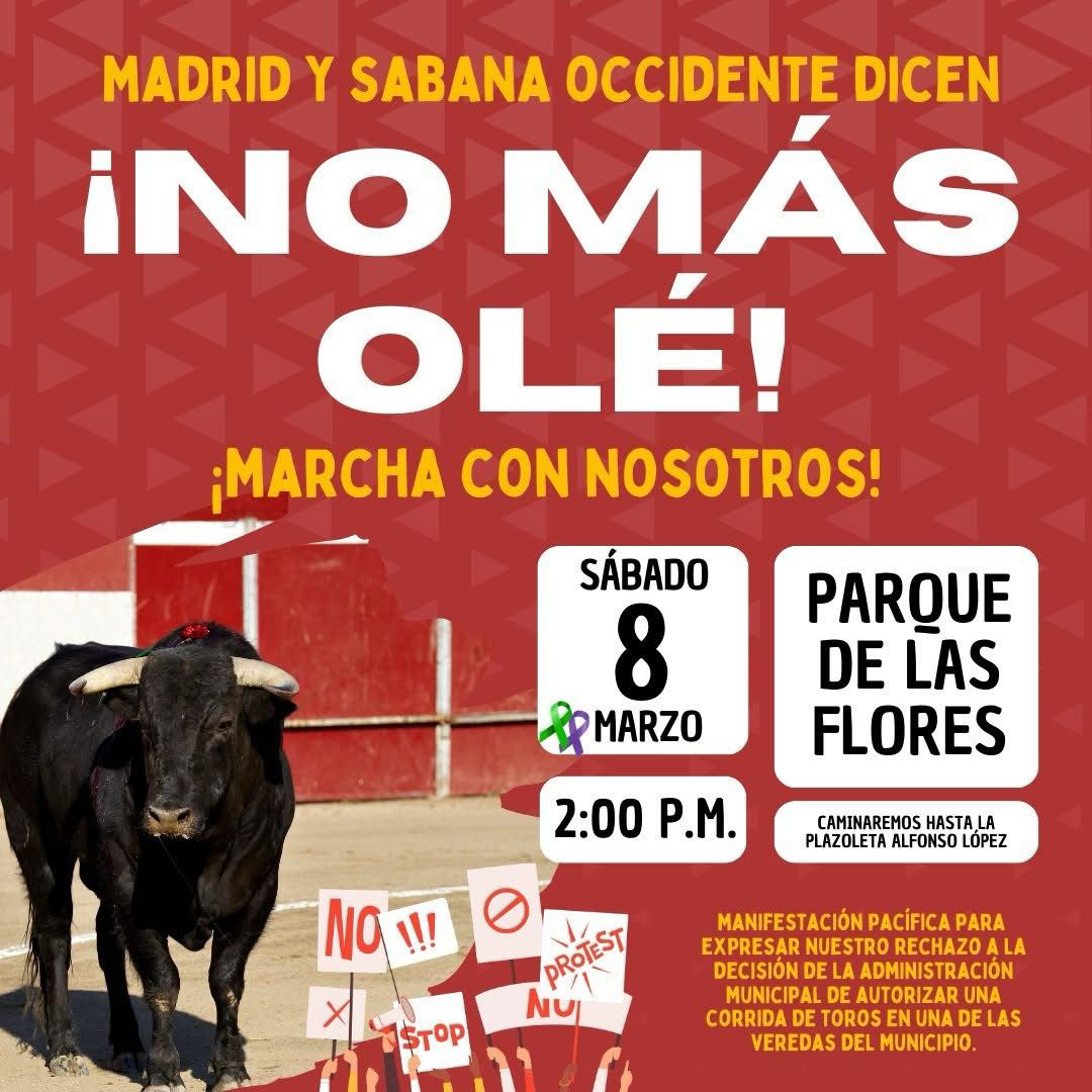 #NoMásOlé
Activistas y población de Madrid (Cund.), organizan una movilización ciudadana contra la violencia taurina y su ilegalidad en el territorio.
#PorLosAnimales: ¡Súmate!
<a href="/AlcaldiaMadrid/">Alcaldía de Madrid</a>: No sea cómplice del toreo ilegal y avancemos por una #ColombiaSinToreo.
🐎🇨🇴🐂