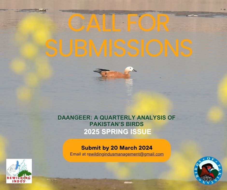 We are now accepting submissions for the Spring 2025 Issue of Daangeer: A Quarterly Analysis of Pakistan's Birds.