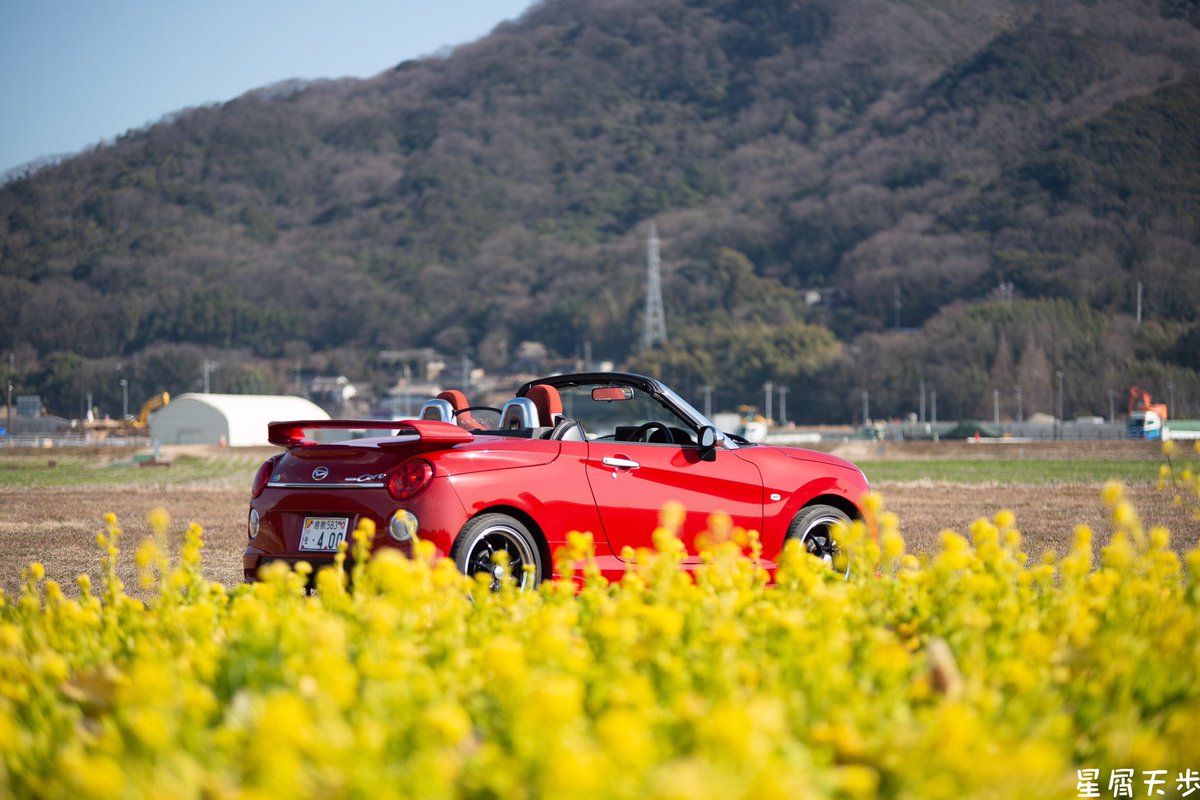 星屑 (@stardust7th) / X