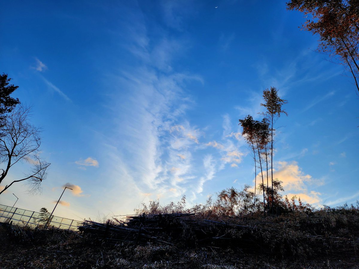 저 하늘이 은하수가 아니더라도 은하수라고 여기면 그만큼 행복한 겁니다. 은하수가 별건가요. 행복한 눈으로 보면 은하수라고 우길 수 있는 마음의 힘을 갖게 됩니다.
