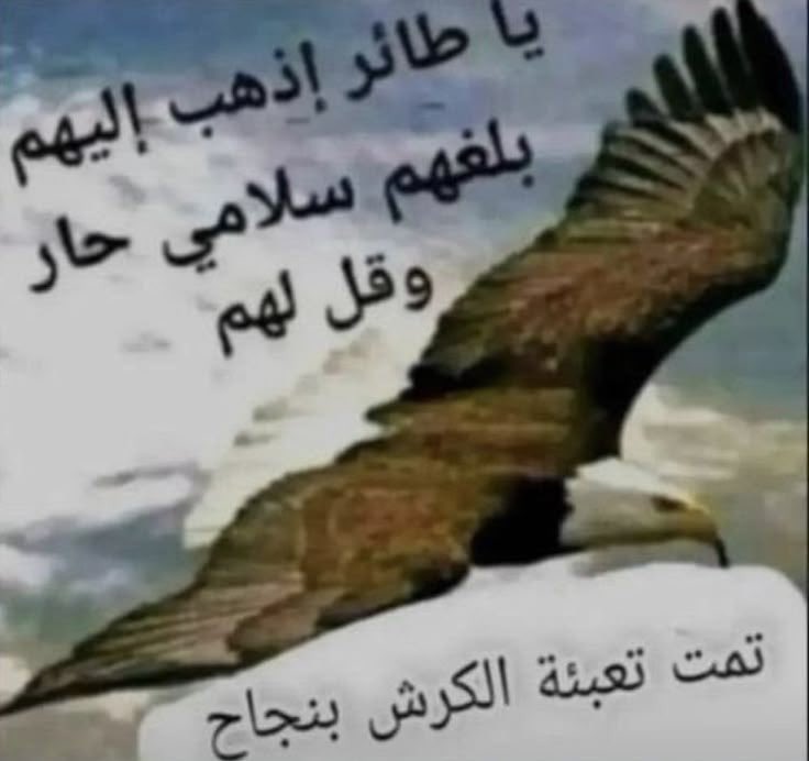 الاول ☝🏻