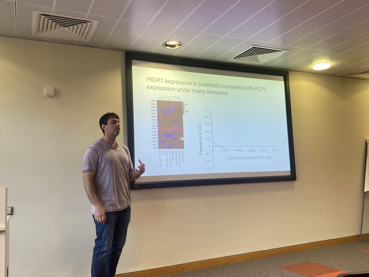 Anne Parle-Mcdermott (@anne_parle) on Twitter photo Great to hear James Arnone from Le Moyne College, Syracuse, NY tell us all about gene regulation and genome context in that fantastic model organism, Yeast! Thanks James. <a href="/DCU_LSI/">DCU Life Sciences Institute</a> <a href="/LeMoyneCollege/">Office of Admission</a> Great to hear James Arnone from Le Moyne College, Syracuse, NY tell us all about gene regulation and genome context in that fantastic model organism, Yeast! Thanks James. <a href="/DCU_LSI/">DCU Life Sciences Institute</a> <a href="/LeMoyneCollege/">Office of Admission</a>