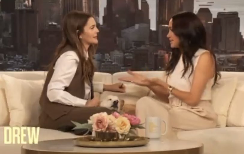 TheFabBookLover's tweet photo. The moment Drew Barrymore became irrelevant. Never forget.

So of course she will have Meghan Markle…an abusive, race baiting, lying bully. https://t.co/DCfBsg0hBj