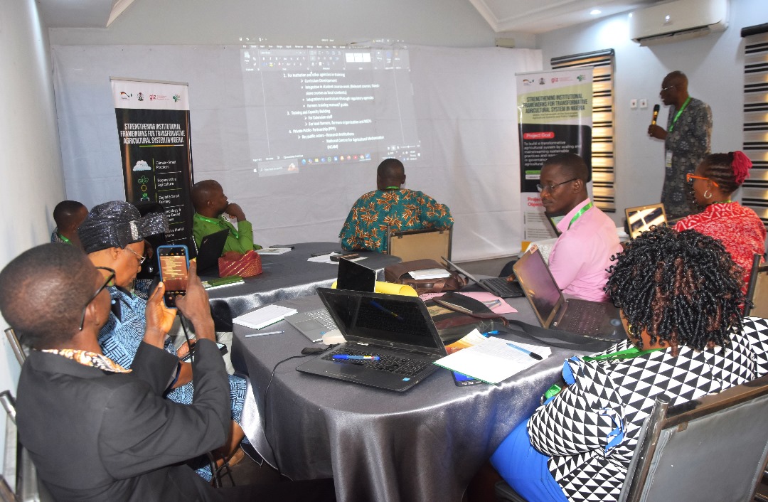 Sasakawa Nigeria tweet media