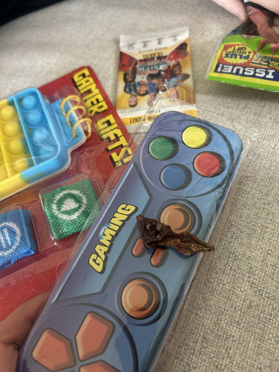 Kristina tweet media