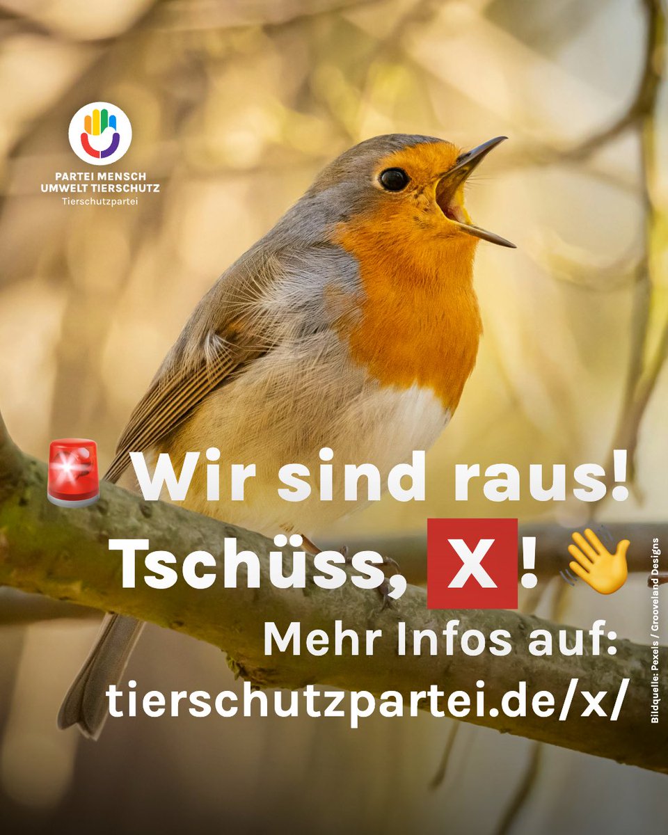 Wir beenden unsere Aktivität auf X, denn die Entwicklungen hier entsprechen nicht unseren Werten. Mehr dazu auf: tierschutzpartei.de/x/

Danke für eure Unterstützung – lasst uns weiterhin für Tierrechte, Umwelt und Gerechtigkeit einsetzen!