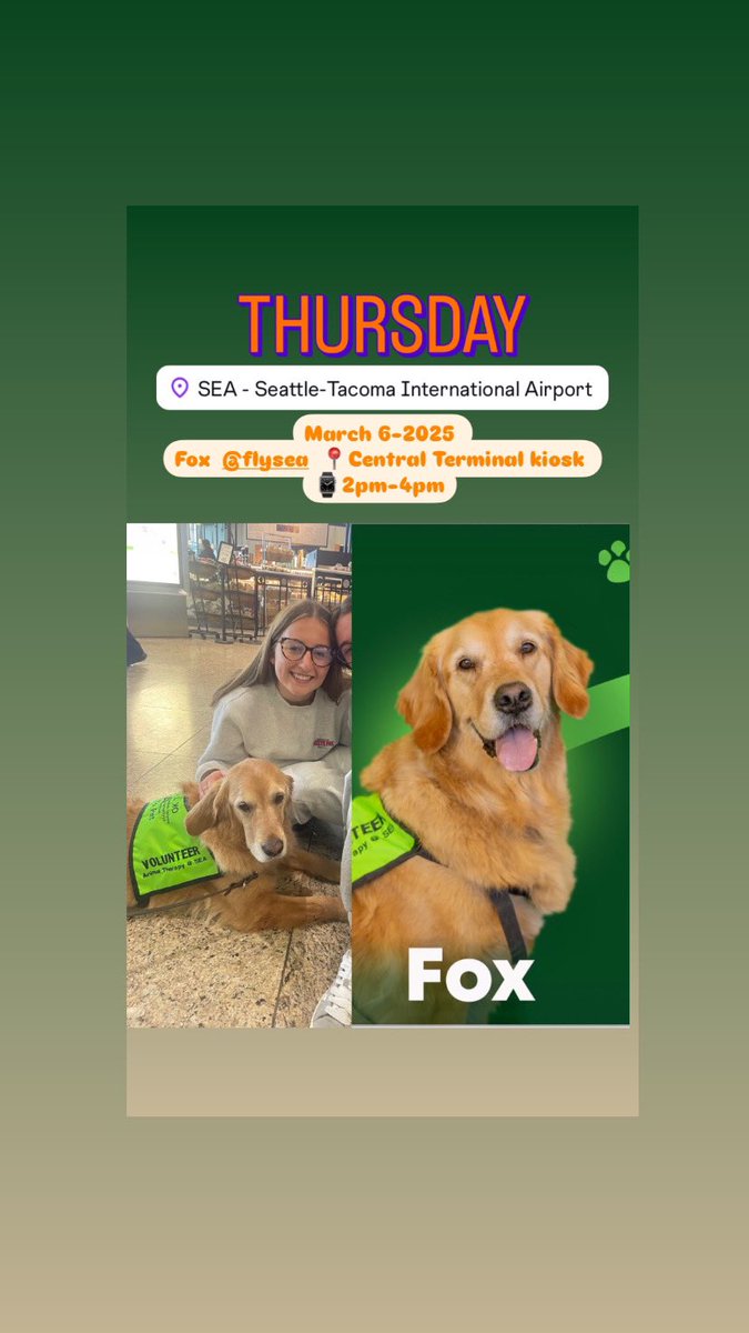 APTherapyDogs's tweet image. March 6-2025 
Fox  @flySEA 📍Central Terminal kiosk 
⌚️2pm-4pm

#airporttherapydogs #flySEA #SEAairport
