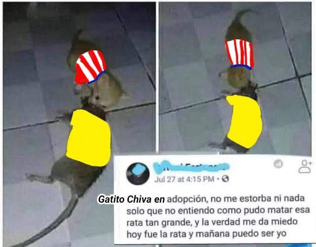 buenos días familia, skereeeee