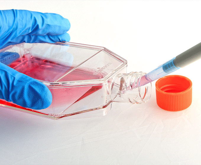 Endocrine-disrupting chemicals are linked to serious diseases, which can even be transmitted across generations. <a href="/UTSA/">UTSA</a> researchers are investigating how these chemicals cause heritable changes in genes. #UTSA #UTSAResearch

Learn more: tinyurl.com/42mavnx5