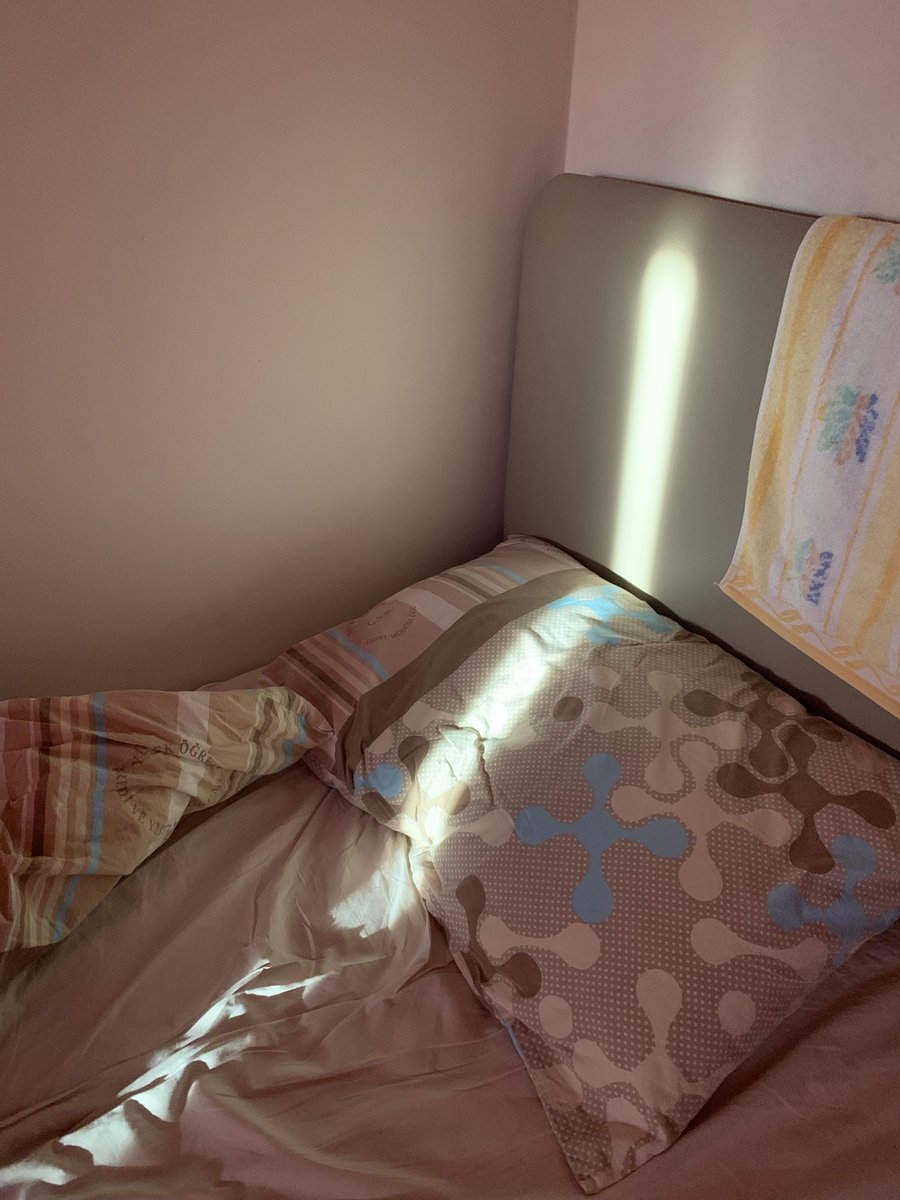 Odamın konumuna sıçıyım aq sabahın köründe uyandırdı