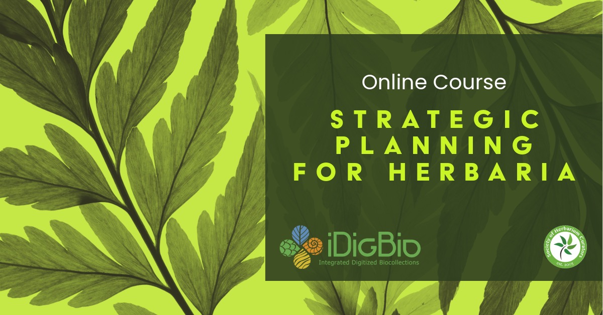 iDigBio and the Society for Herbarium Curators are pleased to announce an 8-week "Strategic Planning for Herbaria” online course! Applications close March 19! For more info and to apply: idigbio.org/content/regist…