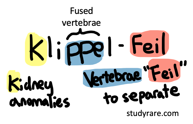 StudyRare 🧬 tweet media