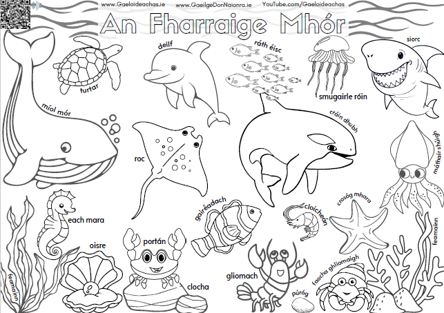 Déan Comhrá (@deancomhra) on Twitter photo An Fharraige Mhór 🐳 radharc nua le dathú 🖍️ an easy way for leanaí to learn foclóir about ocean creatures; sound file nasctha leis 😄 bit.ly/4cU2xF2 #gaeilge #irish <a href="/Gaeloid/">Gaeloideachas</a> @AisTeagaiscCOGG <a href="/ComhairlenaGS/">Comhairle na Gaelscolaíochta</a> <a href="/EarlyChildhdIRL/">Early Childhood Ireland</a> <a href="/MarineInst/">Marine Institute</a> <a href="/GaeilgeRTE/">Gaeilge ar RTÉ</a> <a href="/bbcgaeilge/">BBC GAEILGE</a> <a href="/SnaGaeilge/">Seachtain na Gaeilge le Energia</a> An Fharraige Mhór 🐳 radharc nua le dathú 🖍️ an easy way for leanaí to learn foclóir about ocean creatures; sound file nasctha leis 😄 bit.ly/4cU2xF2 #gaeilge #irish <a href="/Gaeloid/">Gaeloideachas</a> @AisTeagaiscCOGG <a href="/ComhairlenaGS/">Comhairle na Gaelscolaíochta</a> <a href="/EarlyChildhdIRL/">Early Childhood Ireland</a> <a href="/MarineInst/">Marine Institute</a> <a href="/GaeilgeRTE/">Gaeilge ar RTÉ</a> <a href="/bbcgaeilge/">BBC GAEILGE</a> <a href="/SnaGaeilge/">Seachtain na Gaeilge le Energia</a>