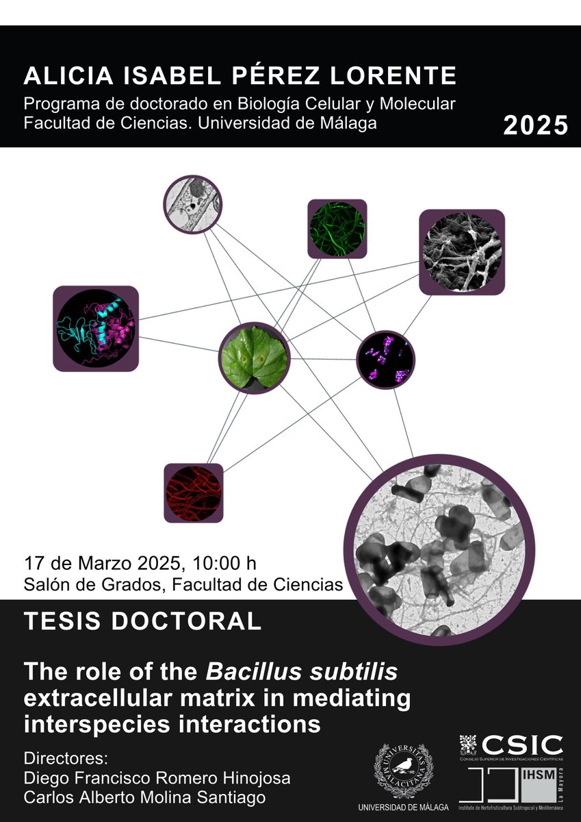 🎓 La doctoranda Alicia Isabel Pérez Lorente defiende el 17 de marzo su tesis doctoral titulada "The role of the Bacillus subtilisextracellular matrix in mediating interspecies interactions",  trabajo dirigido por los investigadores Diego Romero y Carlos Molina

Más info ⬇️