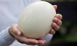 <a href="/eduardomenoni/">Eduardo Menoni</a> Coinciden en que Eduardo Menoni es un pendejo de primera que no sabe lo que habla, pero al final, qué se puede esperar de un lamedor de huevos del imperio.