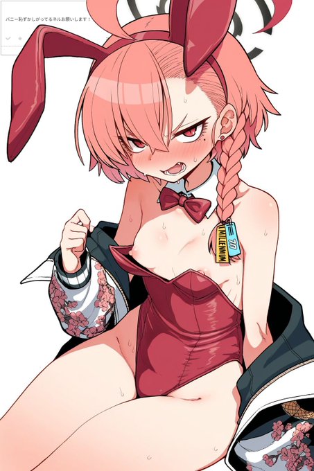 odai バニーネル 