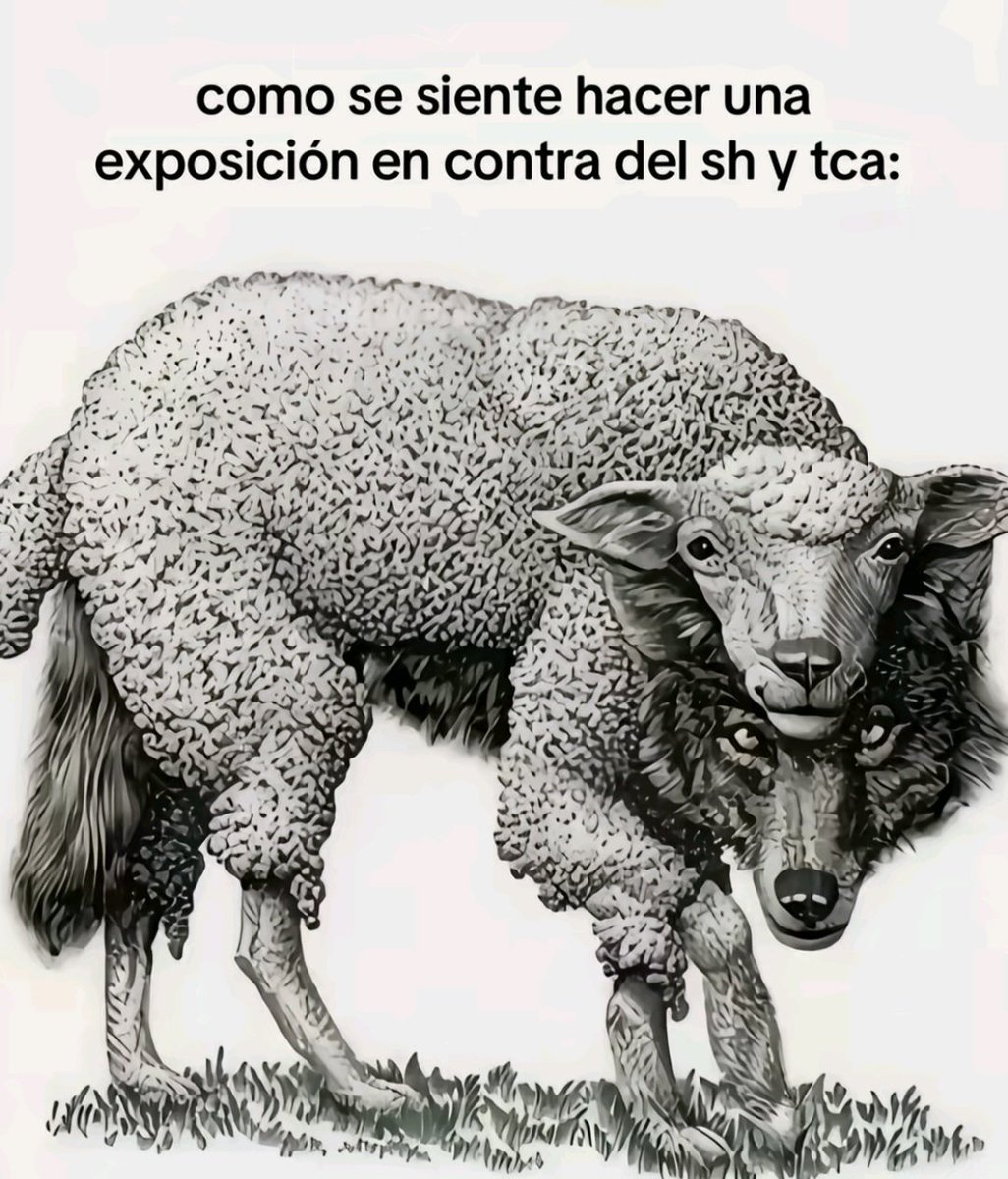 #shtwtᅠ #edtwtㅤ