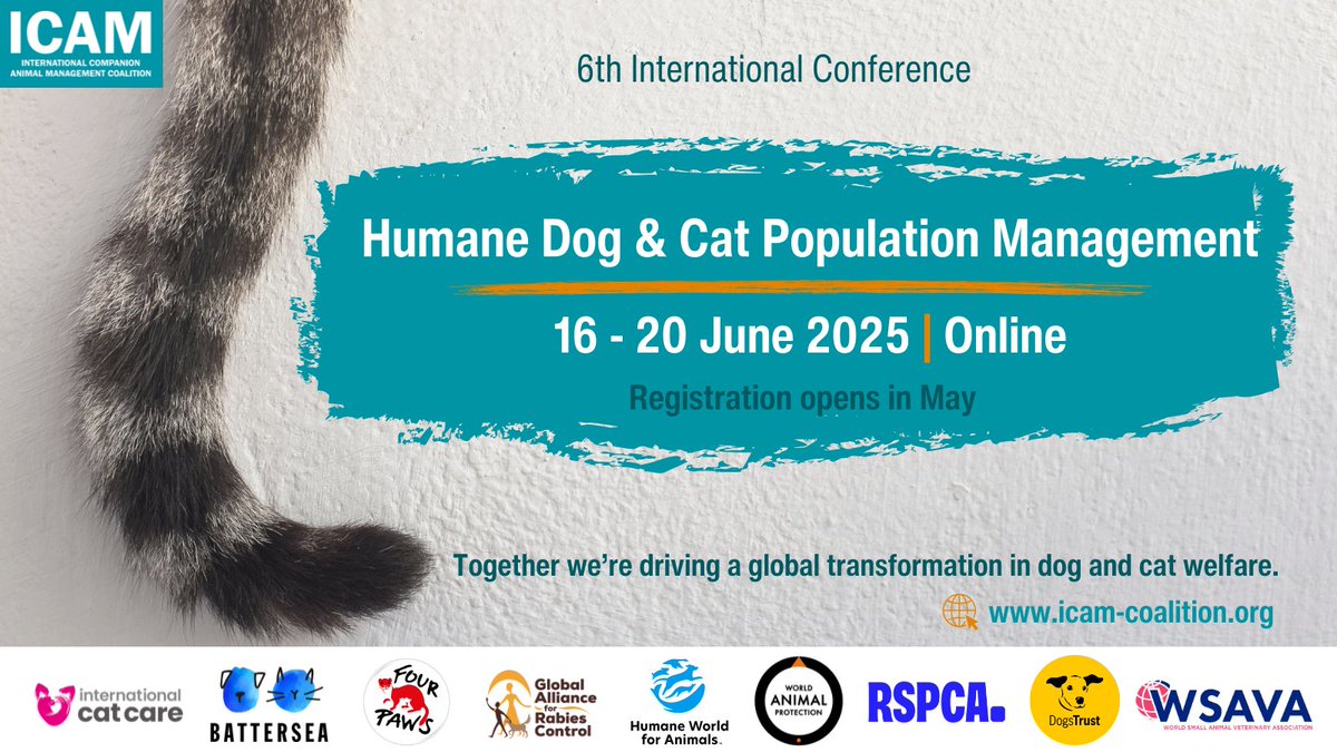 📢 Call for abstracts

Join us for a unique online gathering of dog &amp; cat population management experts, authority representatives, implementers, policymakers and researchers.
📌 Abstract submission deadline: 5 April
📌 Registration opens: May
👉tinyurl.com/4ufs2a7t