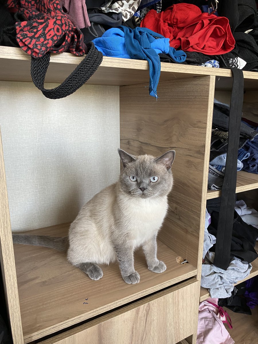 Benim cam gözlüm güzel oğlum huzurla uyu hep kalbimdesin