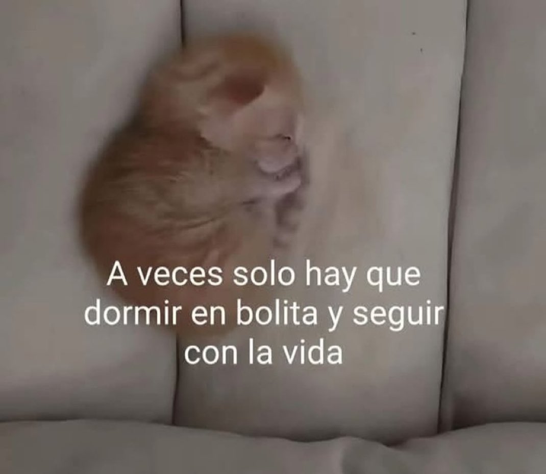 piña sin pizza (@skereunpesado) on Twitter photo 