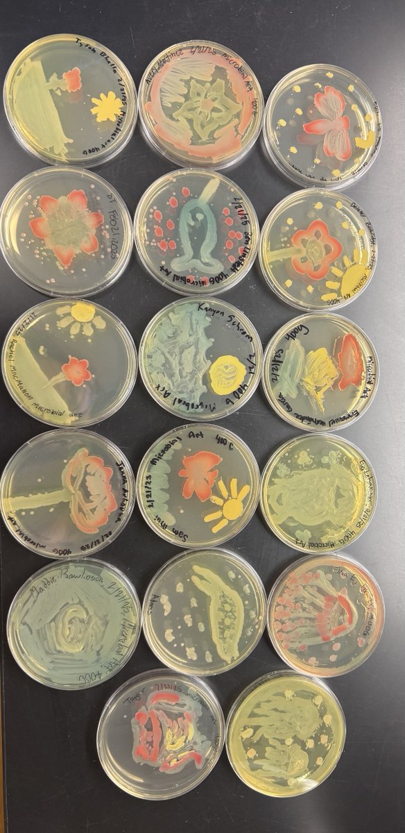 CSU Microbiology, Immunology & Pathology (@csu_mip) on Twitter photo Colorful microbial masterpieces from a recent visit by <a href="/PoudreSchools/">Poudre School District</a> Mountain High School students, hosted by Medora Huseby's MIP400G Capstone! #Microbes #AgarArt #MIP Colorful microbial masterpieces from a recent visit by <a href="/PoudreSchools/">Poudre School District</a> Mountain High School students, hosted by Medora Huseby's MIP400G Capstone! #Microbes #AgarArt #MIP