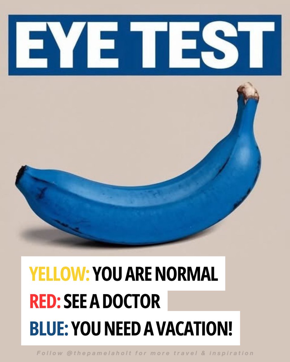 PamelaHoltOfc's tweet image. Turns out my vision is 20/20 for spotting vacation deals. 👀✈️

Share your best travel find in the comments &amp;amp; follow @thepamelaholt for more travel vibes! 🩵

#travelhumor #eyetest