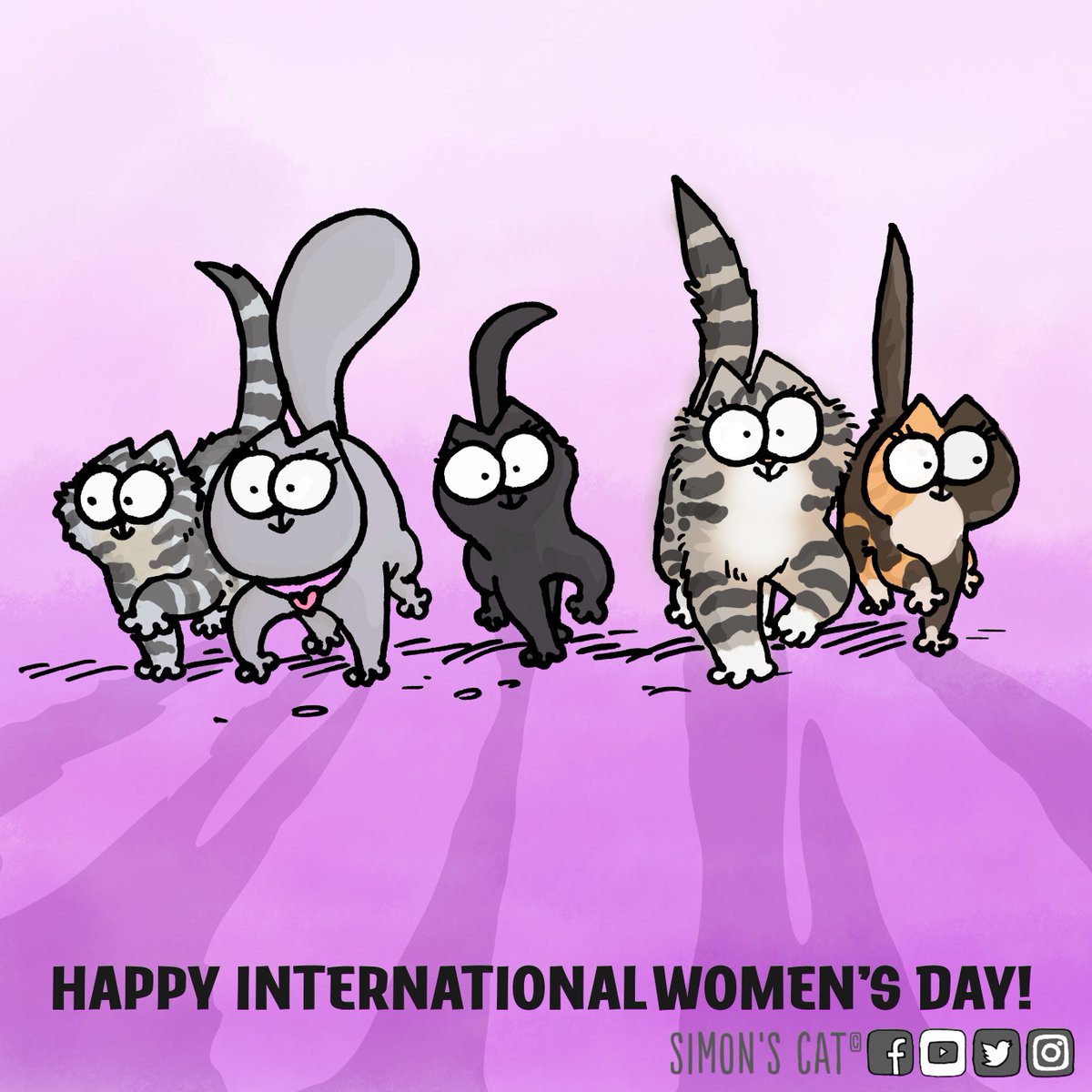The kitties want to wish you all a Happy International Women's Day! 💜