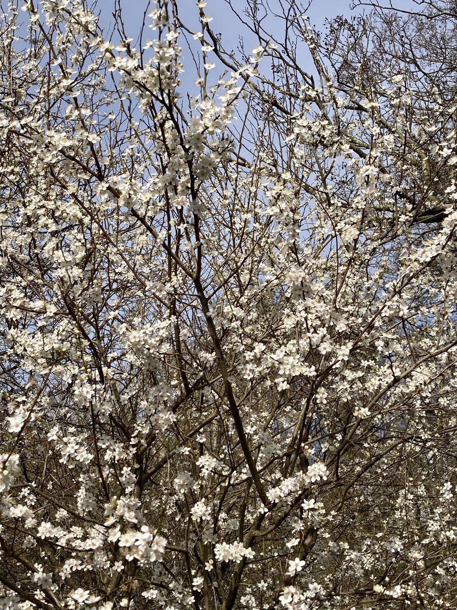 MoffStarbuck's tweet image. #MeteorologicalSpring gets my vote ✅