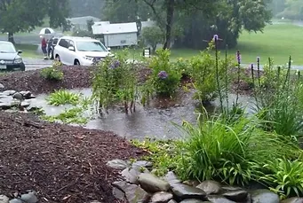 onlyrain_nova's tweet photo. NoVA homeowners: Create a stunning yard that saves time and protects the Chesapeake! Conservation landscaping and rain gardens mean less maintenance and fewer chemicals—keeping our local waterways clean while beautifying your neighborhood. https://t.co/bCKyqYkeo6 #OnlyRain https://t.co/mgoFeJYz7n