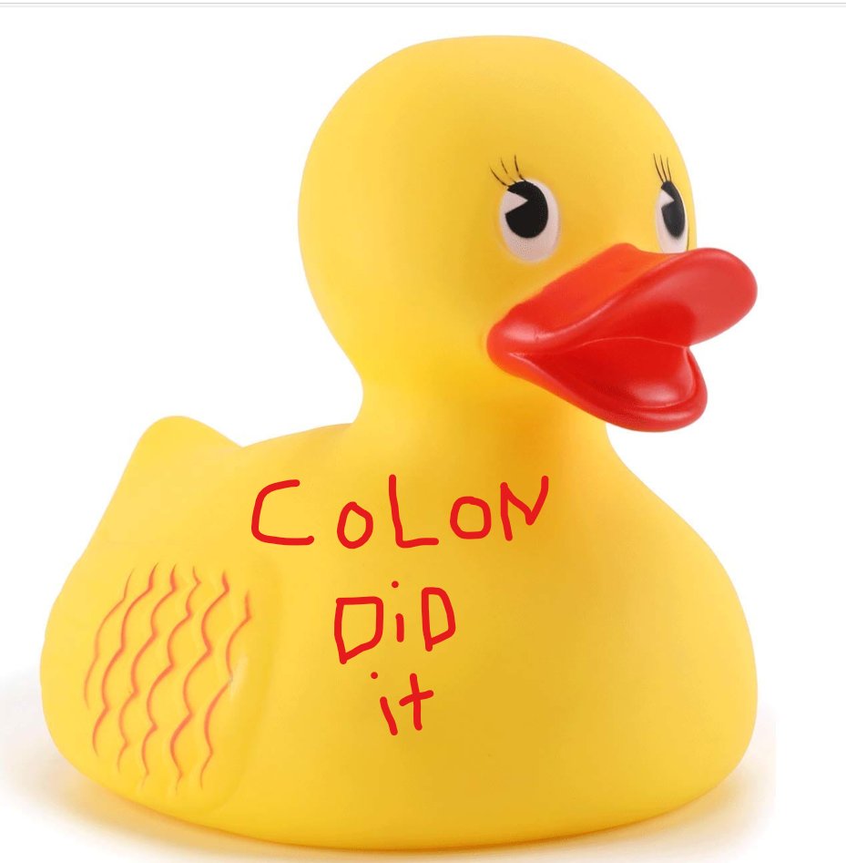 chloeinvermont's tweet image. 