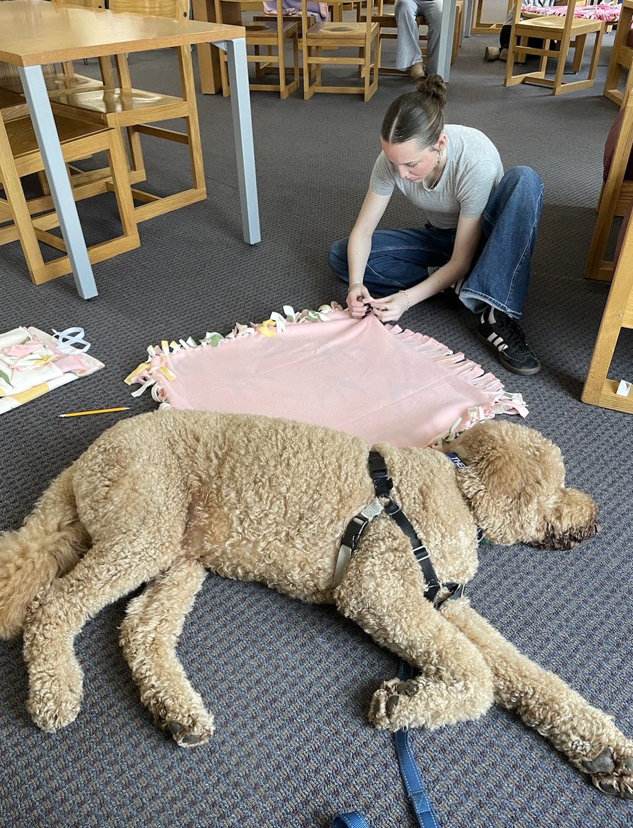 NipmucRegional's tweet image. There is only an hour left in today&apos;s Inspired Learning Day and even Winston one of Nipmuc&apos;s favorite four-legged friends is tired from an exciting and eventful day.  #nipmucpride