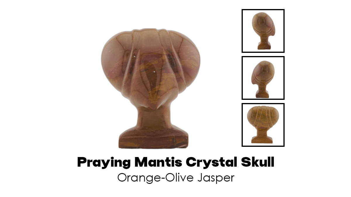 Give the Gift of Transformation
💝
Our collection of Mantis Crystal Skulls offers unique energies and benefits for everyone. From protection and healing to creativity and intuition, there's a perfect skull for your loved ones.

Shop now f.mtr.cool/oplhendgkr