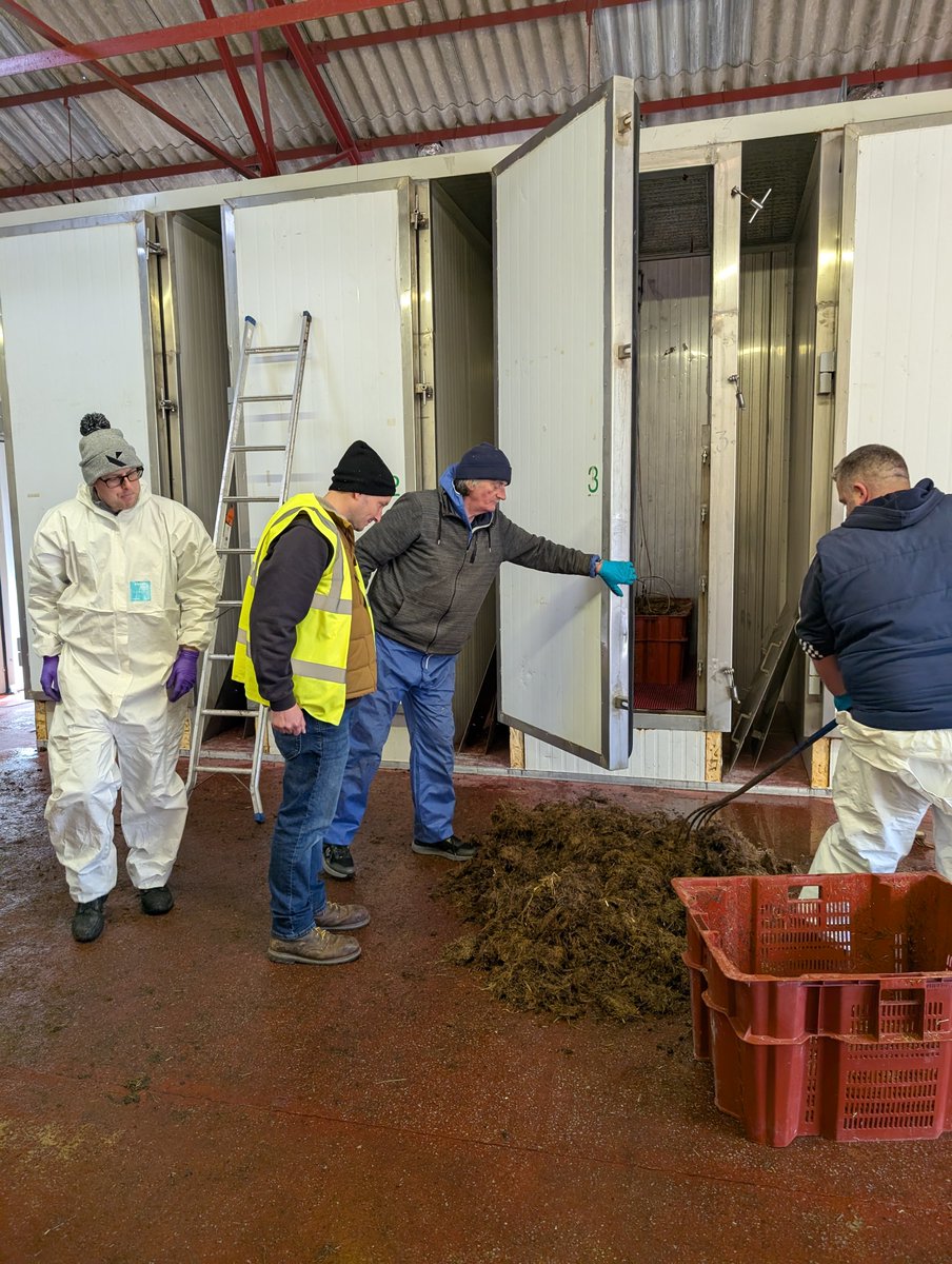 AFBI Loughgall staff, Josh McKitterick, Patrick Prunty and Barrie Walker, led by Dr Christian Pulver, making great headway in @DAERA <a href="/agriculture_ie/">Dept of Agriculture, Food and the Marine</a> Beyond Peat project developing specifically designed sustainable peat replacements for horticultural crop production
#AFBIScience