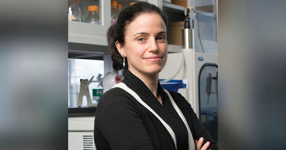 Don't Miss This! Important Updates from Our President, Elisa E. Konofagou, Ph.D.

conta.cc/41rF5dR