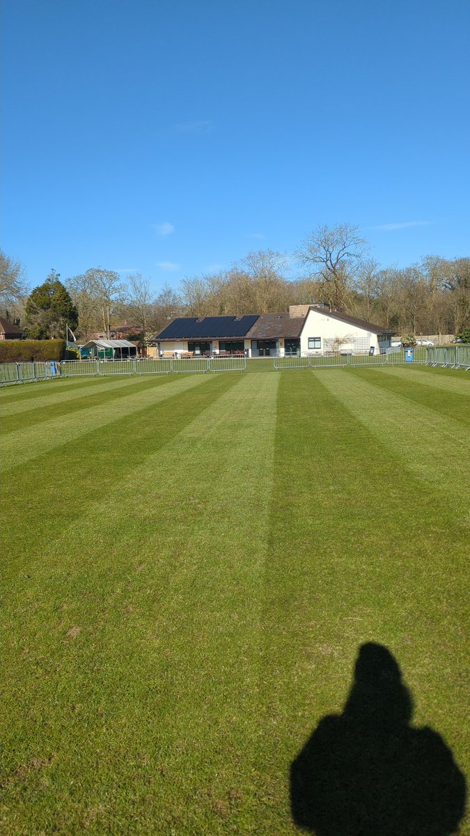 More cricket prep today! 🏏