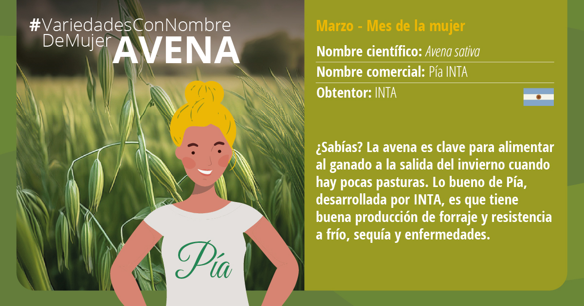 Hoy #DiaInternacionalDeLaMujer  te mostramos cómo el mejoramiento genético vegetal rinde tributo a la mujer "bautizando" variedades con nombres femeninos. Un ej. es Pía 👉 acortar.link/wI7aE5 
Seguinos todo marzo para conocer + variedades #8Marzo