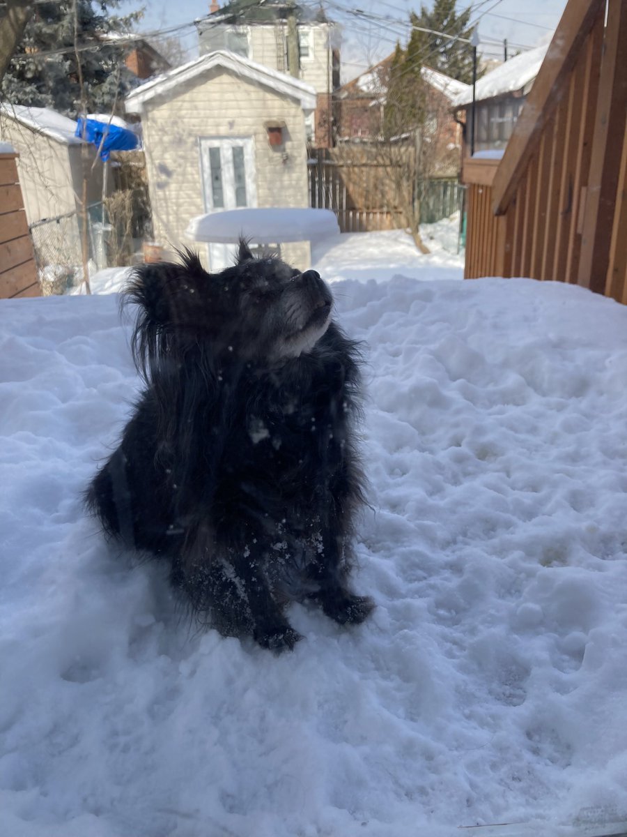 Rosemary Tomlinson-M tweet media