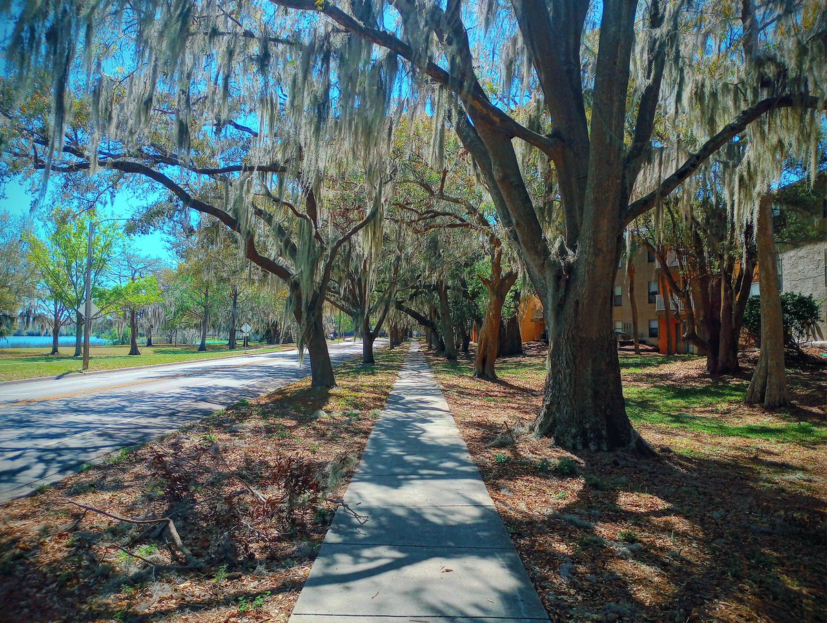 HauntFreak11's tweet image. Thursday views

- #OutForAWalk #RechargingMyHeart #DayOffViews