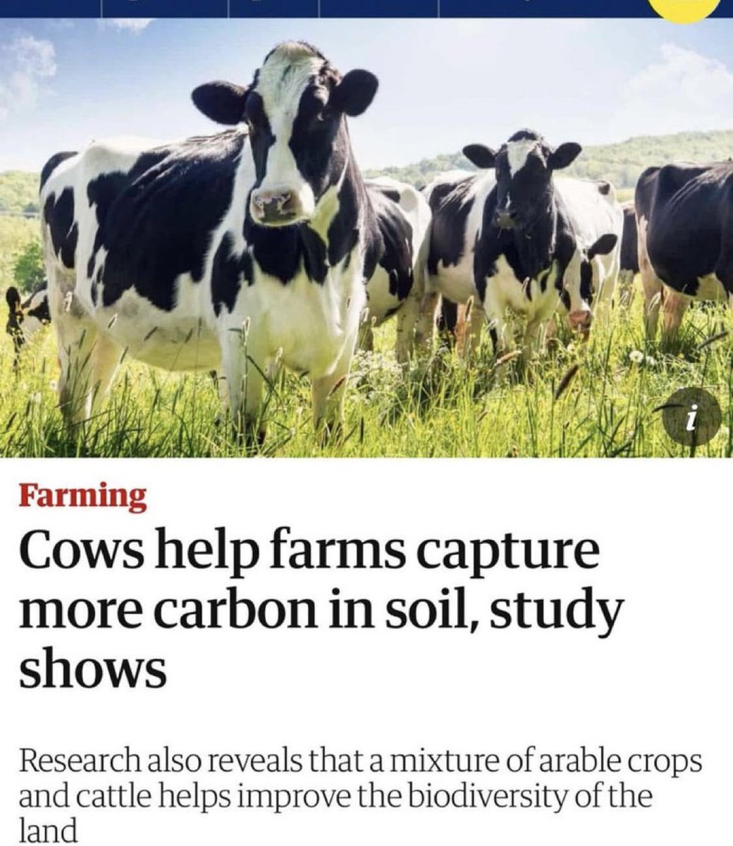 James Melville 🚜 (@jamesmelville) on Twitter photo No shit, Sherlock. 🐄 No shit, Sherlock. 🐄