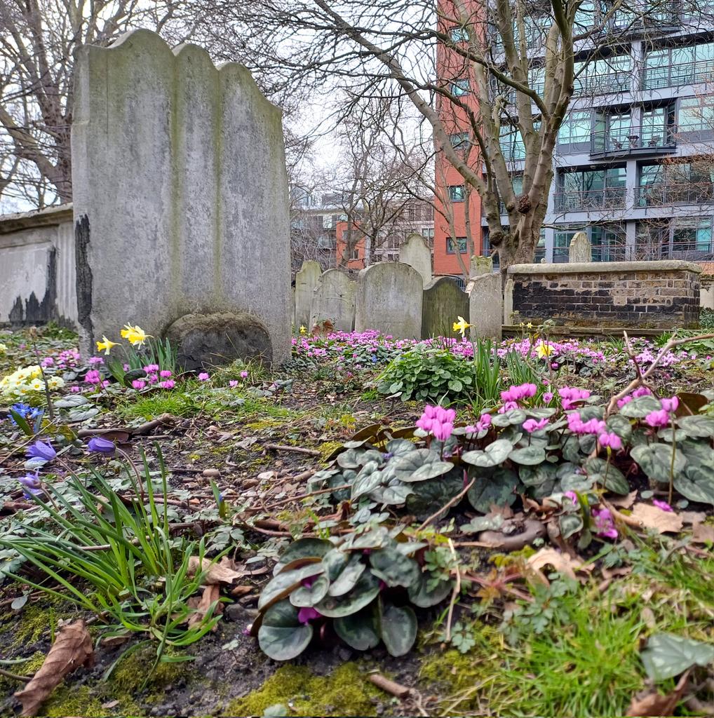 LondonOnGround's tweet photo. Blooms and tombs.
Over 120,000 people were buried in Bunhill Fields, London's nonconformist graveyard, between 1665 and 1854. It is in Islington, but maintained by the City of London.
#bunhillfields #bunhill #Islington #cityoflondon #nonconformist #spring #springflowers https://t.co/Exly23h7MT